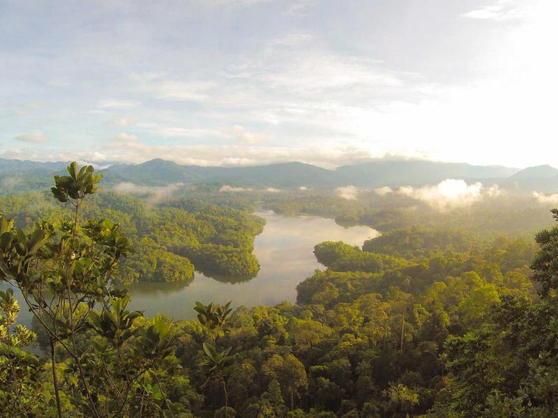 核爆后的彩虹<br>bcxjjkz.cn 变异生物图鉴
